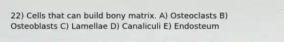 22) Cells that can build bony matrix. A) Osteoclasts B) Osteoblasts C) Lamellae D) Canaliculi E) Endosteum