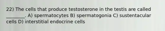 22) The cells that produce testosterone in the testis are called ________. A) spermatocytes B) spermatogonia C) sustentacular cells D) interstitial endocrine cells