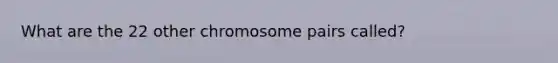 What are the 22 other chromosome pairs called?