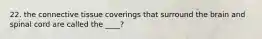 22. the connective tissue coverings that surround the brain and spinal cord are called the ____?