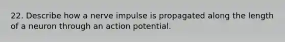 22. Describe how a nerve impulse is propagated along the length of a neuron through an action potential.