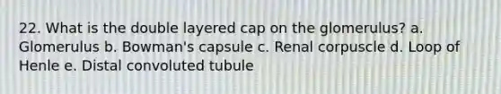 22. What is the double layered cap on the glomerulus? a. Glomerulus b. Bowman's capsule c. Renal corpuscle d. Loop of Henle e. Distal convoluted tubule