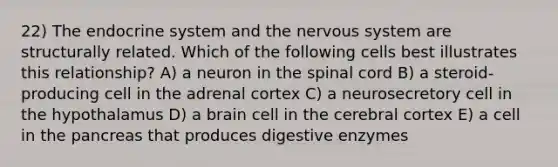 22) The endocrine system and the nervous system are structurally related. Which of the following cells best illustrates this relationship? A) a neuron in the spinal cord B) a steroid-producing cell in the adrenal cortex C) a neurosecretory cell in the hypothalamus D) a brain cell in the cerebral cortex E) a cell in the pancreas that produces digestive enzymes