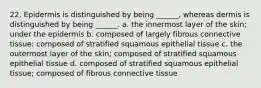 22. Epidermis is distinguished by being ______, whereas dermis is distinguished by being ______. a. the innermost layer of the skin; under the epidermis b. composed of largely fibrous connective tissue; composed of stratified squamous epithelial tissue c. the outermost layer of the skin; composed of stratified squamous epithelial tissue d. composed of stratified squamous epithelial tissue; composed of fibrous connective tissue