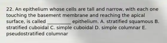 22. An epithelium whose cells are tall and narrow, with each one touching the basement membrane and reaching the apical surface, is called __________ epithelium. A. stratified squamous B. stratified cuboidal C. simple cuboidal D. simple columnar E. pseudostratified columnar