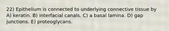 22) Epithelium is connected to underlying connective tissue by A) keratin. B) interfacial canals. C) a basal lamina. D) gap junctions. E) proteoglycans.