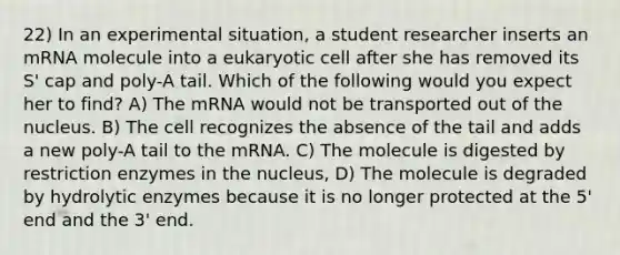 22) In an experimental situation, a student researcher inserts an mRNA molecule into a eukaryotic cell after she has removed its S' cap and poly-A tail. Which of the following would you expect her to find? A) The mRNA would not be transported out of the nucleus. B) The cell recognizes the absence of the tail and adds a new poly-A tail to the mRNA. C) The molecule is digested by restriction enzymes in the nucleus, D) The molecule is degraded by hydrolytic enzymes because it is no longer protected at the 5' end and the 3' end.