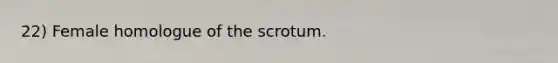 22) Female homologue of the scrotum.