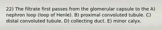 22) The filtrate first passes from the glomerular capsule to the A) nephron loop (loop of Henle). B) proximal convoluted tubule. C) distal convoluted tubule. D) collecting duct. E) minor calyx.