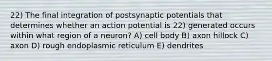 22) The final integration of postsynaptic potentials that determines whether an action potential is 22) generated occurs within what region of a neuron? A) cell body B) axon hillock C) axon D) rough endoplasmic reticulum E) dendrites