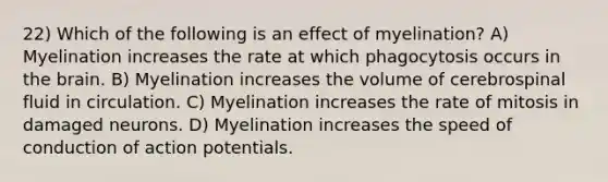 22) Which of the following is an effect of myelination? A) Myelination increases the rate at which phagocytosis occurs in the brain. B) Myelination increases the volume of cerebrospinal fluid in circulation. C) Myelination increases the rate of mitosis in damaged neurons. D) Myelination increases the speed of conduction of action potentials.