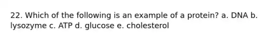 22. Which of the following is an example of a protein? a. DNA b. lysozyme c. ATP d. glucose e. cholesterol