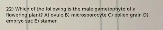 22) Which of the following is the male gametophyte of a flowering plant? A) ovule B) microsporocyte C) pollen grain D) embryo sac E) stamen