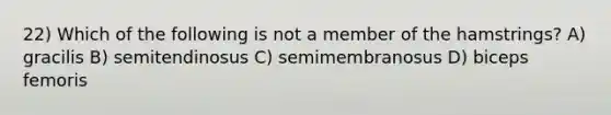 22) Which of the following is not a member of the hamstrings? A) gracilis B) semitendinosus C) semimembranosus D) biceps femoris