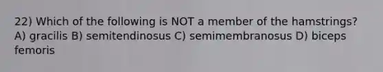 22) Which of the following is NOT a member of the hamstrings? A) gracilis B) semitendinosus C) semimembranosus D) biceps femoris