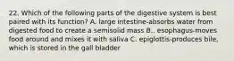 22. Which of the following parts of the digestive system is best paired with its function? A. large intestine-absorbs water from digested food to create a semisolid mass B.. esophagus-moves food around and mixes it with saliva C. epiglottis-produces bile, which is stored in the gall bladder