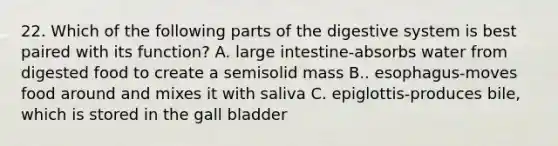 22. Which of the following parts of the digestive system is best paired with its function? A. large intestine-absorbs water from digested food to create a semisolid mass B.. esophagus-moves food around and mixes it with saliva C. epiglottis-produces bile, which is stored in the gall bladder