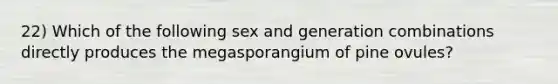 22) Which of the following sex and generation combinations directly produces the megasporangium of pine ovules?