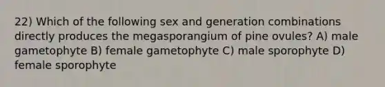 22) Which of the following sex and generation combinations directly produces the megasporangium of pine ovules? A) male gametophyte B) female gametophyte C) male sporophyte D) female sporophyte