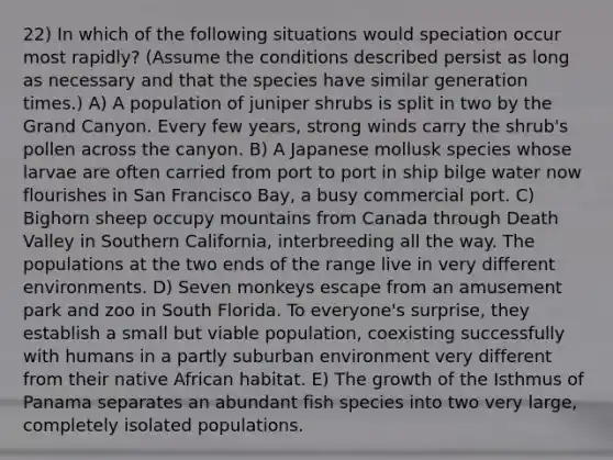 22) In which of the following situations would speciation occur most rapidly? (Assume the conditions described persist as long as necessary and that the species have similar generation times.) A) A population of juniper shrubs is split in two by the Grand Canyon. Every few years, strong winds carry the shrub's pollen across the canyon. B) A Japanese mollusk species whose larvae are often carried from port to port in ship bilge water now flourishes in San Francisco Bay, a busy commercial port. C) Bighorn sheep occupy mountains from Canada through Death Valley in Southern California, interbreeding all the way. The populations at the two ends of the range live in very different environments. D) Seven monkeys escape from an amusement park and zoo in South Florida. To everyone's surprise, they establish a small but viable population, coexisting successfully with humans in a partly suburban environment very different from their native African habitat. E) The growth of the Isthmus of Panama separates an abundant fish species into two very large, completely isolated populations.