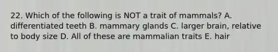 22. Which of the following is NOT a trait of mammals? A. differentiated teeth B. mammary glands C. larger brain, relative to body size D. All of these are mammalian traits E. hair