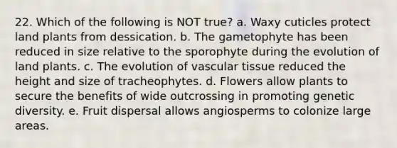 22. Which of the following is NOT true? a. Waxy cuticles protect land plants from dessication. b. The gametophyte has been reduced in size relative to the sporophyte during the evolution of land plants. c. The evolution of vascular tissue reduced the height and size of tracheophytes. d. Flowers allow plants to secure the benefits of wide outcrossing in promoting genetic diversity. e. Fruit dispersal allows angiosperms to colonize large areas.