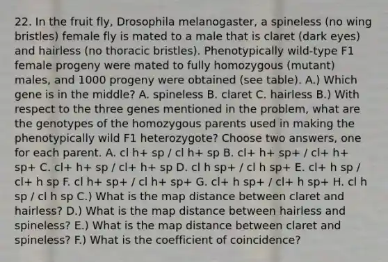 22. In the fruit fly, Drosophila melanogaster, a spineless (no wing bristles) female fly is mated to a male that is claret (dark eyes) and hairless (no thoracic bristles). Phenotypically wild-type F1 female progeny were mated to fully homozygous (mutant) males, and 1000 progeny were obtained (see table). A.) Which gene is in the middle? A. spineless B. claret C. hairless B.) With respect to the three genes mentioned in the problem, what are the genotypes of the homozygous parents used in making the phenotypically wild F1 heterozygote? Choose two answers, one for each parent. A. cl h+ sp / cl h+ sp B. cl+ h+ sp+ / cl+ h+ sp+ C. cl+ h+ sp / cl+ h+ sp D. cl h sp+ / cl h sp+ E. cl+ h sp / cl+ h sp F. cl h+ sp+ / cl h+ sp+ G. cl+ h sp+ / cl+ h sp+ H. cl h sp / cl h sp C.) What is the map distance between claret and hairless? D.) What is the map distance between hairless and spineless? E.) What is the map distance between claret and spineless? F.) What is the coefficient of coincidence?