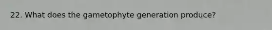 22. What does the gametophyte generation produce?