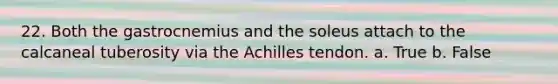 22. Both the gastrocnemius and the soleus attach to the calcaneal tuberosity via the Achilles tendon. a. True b. False