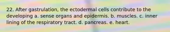 22. After gastrulation, the ectodermal cells contribute to the developing a. sense organs and epidermis. b. muscles. c. inner lining of the respiratory tract. d. pancreas. e. heart.