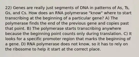 22) Genes are really just segments of DNA in patterns of As, Ts, Gs, and Cs. How does an RNA polymerase "know" where to start transcribing at the beginning of a particular gene? A) The polymerase finds the end of the previous gene and copies past that point. B) The polymerase starts transcribing anywhere because the beginning point counts only during translation. C) It looks for a specific promoter region that marks the beginning of a gene. D) RNA polymerase does not know, so it has to rely on the ribosome to help it start at the correct place.