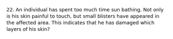 22. An individual has spent too much time sun bathing. Not only is his skin painful to touch, but small blisters have appeared in the affected area. This indicates that he has damaged which layers of his skin?