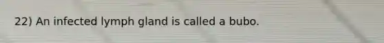 22) An infected lymph gland is called a bubo.