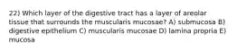 22) Which layer of the digestive tract has a layer of areolar tissue that surrounds the muscularis mucosae? A) submucosa B) digestive epithelium C) muscularis mucosae D) lamina propria E) mucosa