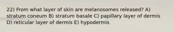 22) From what layer of skin are melanosomes released? A) stratum coneum B) stratum basale C) papillary layer of dermis D) reticular layer of dermis E) hypodermis