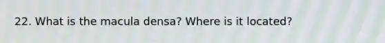 22. What is the macula densa? Where is it located?