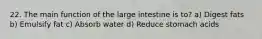 22. The main function of the large intestine is to? a) Digest fats b) Emulsify fat c) Absorb water d) Reduce stomach acids