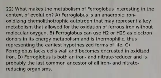 22) What makes the metabolism of Ferroglobus interesting in the context of evolution? A) Ferroglobus is an anaerobic iron-oxidizing chemolithotrophic autotroph that may represent a key metabolism that allowed for the oxidation of ferrous iron without molecular oxygen. B) Ferroglobus can use H2 or H2S as electron donors in its energy metabolism and is thermophilic, thus representing the earliest hypothesized forms of life. C) Ferroglobus lacks cells wall and becomes encrusted in oxidized iron. D) Ferroglobus is both an iron- and nitrate-reducer and is probably the last common ancestor of all iron- and nitrate-reducing organisms.