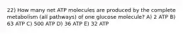 22) How many net ATP molecules are produced by the complete metabolism (all pathways) of one glucose molecule? A) 2 ATP B) 63 ATP C) 500 ATP D) 36 ATP E) 32 ATP