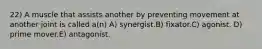 22) A muscle that assists another by preventing movement at another joint is called a(n) A) synergist.B) fixator.C) agonist. D) prime mover.E) antagonist.