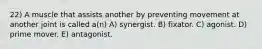 22) A muscle that assists another by preventing movement at another joint is called a(n) A) synergist. B) fixator. C) agonist. D) prime mover. E) antagonist.