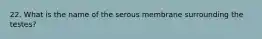 22. What is the name of the serous membrane surrounding the testes?