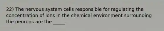 22) The nervous system cells responsible for regulating the concentration of ions in the chemical environment surrounding the neurons are the _____.