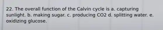 22. The overall function of the Calvin cycle is a. capturing sunlight. b. making sugar. c. producing CO2 d. splitting water. e. oxidizing glucose.