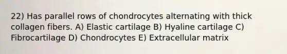 22) Has parallel rows of chondrocytes alternating with thick collagen fibers. A) Elastic cartilage B) Hyaline cartilage C) Fibrocartilage D) Chondrocytes E) Extracellular matrix