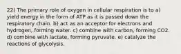 22) The primary role of oxygen in cellular respiration is to a) yield energy in the form of ATP as it is passed down the respiratory chain. b) act as an acceptor for electrons and hydrogen, forming water. c) combine with carbon, forming CO2. d) combine with lactate, forming pyruvate. e) catalyze the reactions of glycolysis.