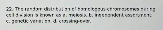 22. The random distribution of homologous chromosomes during cell division is known as a. meiosis. b. independent assortment. c. genetic variation. d. crossing-over.