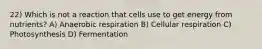 22) Which is not a reaction that cells use to get energy from nutrients? A) Anaerobic respiration B) Cellular respiration C) Photosynthesis D) Fermentation