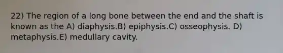 22) The region of a long bone between the end and the shaft is known as the A) diaphysis.B) epiphysis.C) osseophysis. D) metaphysis.E) medullary cavity.