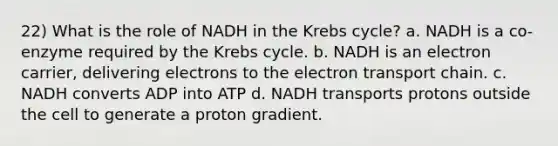 22) What is the role of NADH in the Krebs cycle? a. NADH is a co-enzyme required by the Krebs cycle. b. NADH is an electron carrier, delivering electrons to the electron transport chain. c. NADH converts ADP into ATP d. NADH transports protons outside the cell to generate a proton gradient.